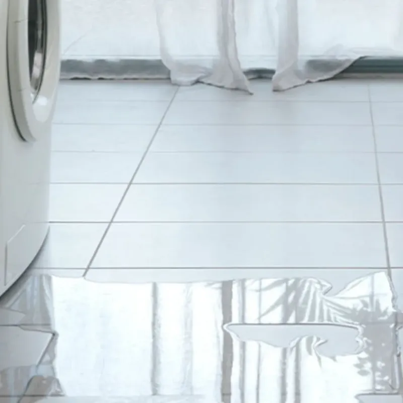 Appliance Leak Cleanup in Center, TX