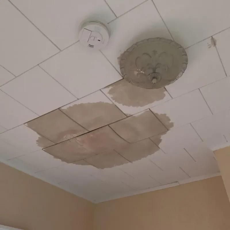 Ceiling Water Damage Repair in Center, TX