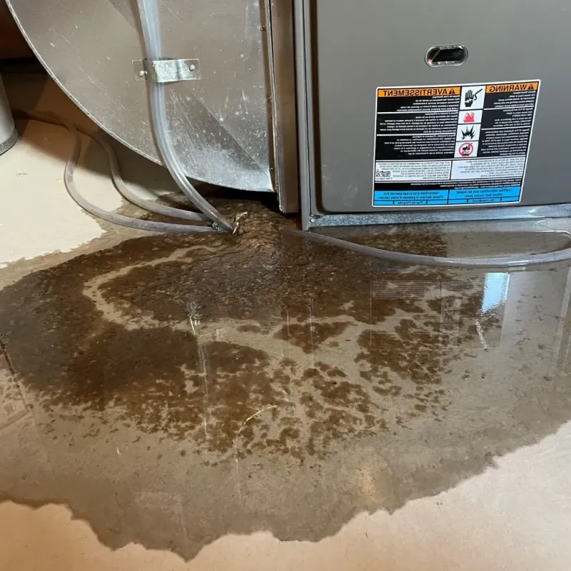 Pipe Burst and Leak Restoration in Center, TX