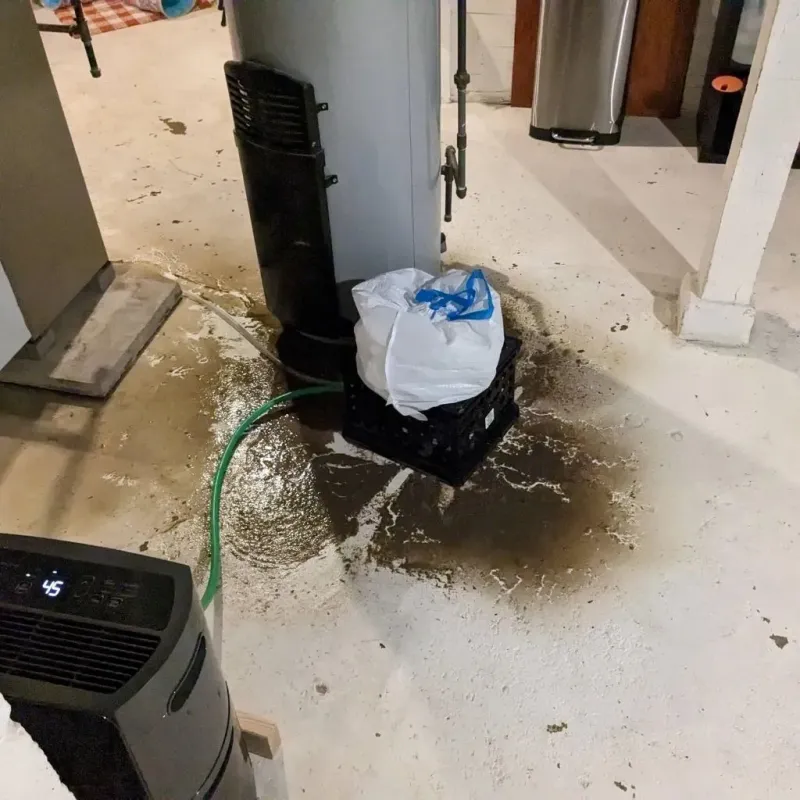 Sewage Backup Cleanup Service in Center, TX